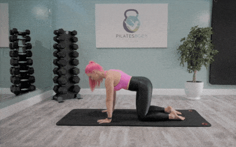 how-to-do-Cat-Cow-stretch-exercise-pilates-at-home-for-beginners-workout-How-to-move-GIF-Core-Flow-8-minute-workout