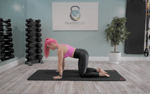 how-to-do-side-squeeze-exercise-at-home-Pilates-for-beginners-How-to-move-GIF-Core-Flow-8-minute-workout