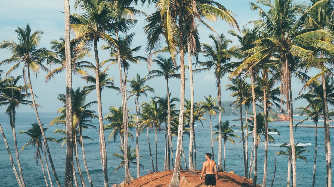 A shirtless man standing among palm trees beside the water.